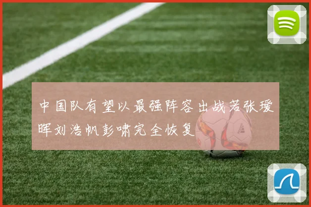 中国队有望以最强阵容出战若张瑷晖刘浩帆彭啸完全恢复