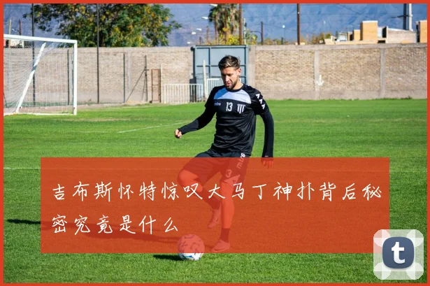 吉布斯怀特惊叹大马丁神扑背后秘密究竟是什么